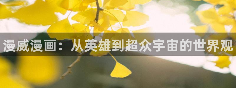 快看漫画官网站：漫威漫画：从英雄到超众宇宙的世界观