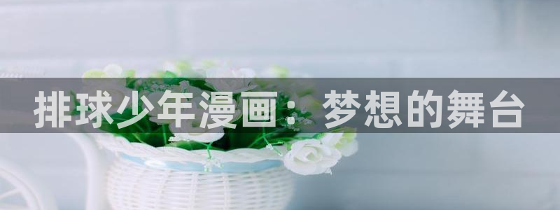 怦然心动漫画免费快看漫画：排球少年漫画：梦想的舞台