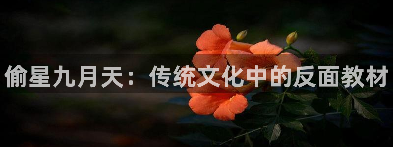 你疯了快看漫画：偷星九月天：传统文化中的反面教材